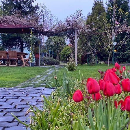 Garden House Apartment Timisoara Exterior photo