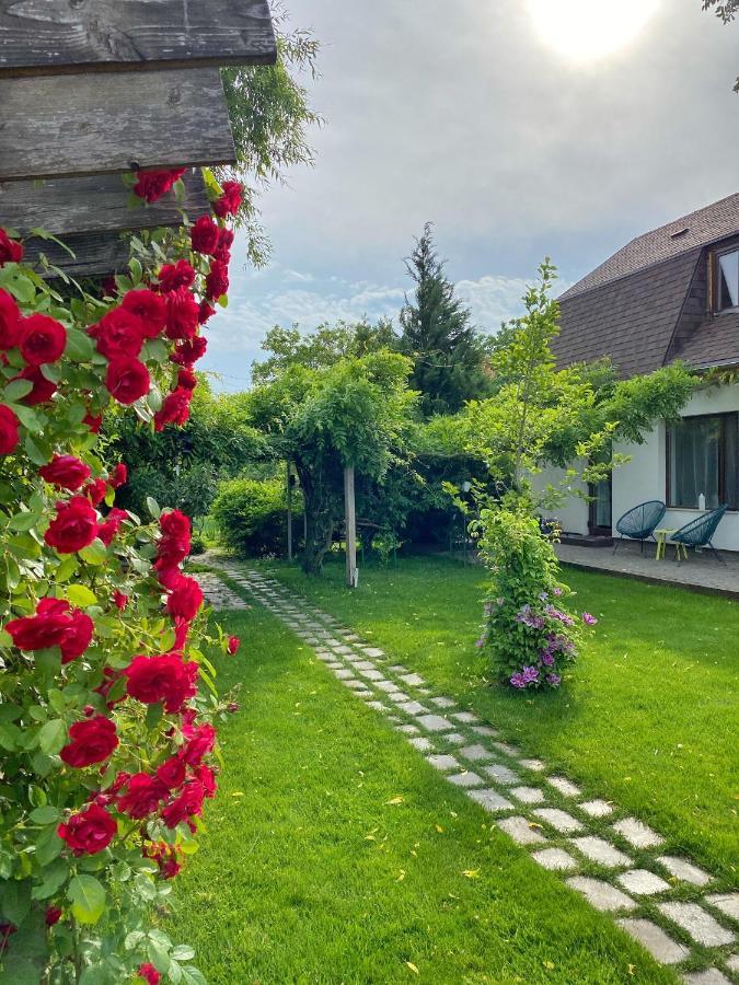 Garden House Apartment Timisoara Exterior photo