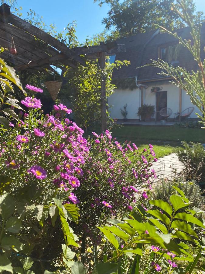 Garden House Apartment Timisoara Exterior photo